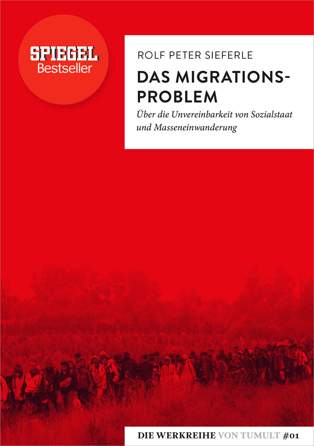 Das Migrationsproblem ber Die Unvereinbarkeit Von Sozialstaat Und 