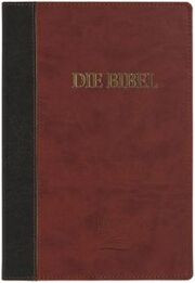 Schlachter 2000 Bibel - Großdruckausgabe (Softcover, grau / braun)