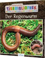 Der Regenwurm