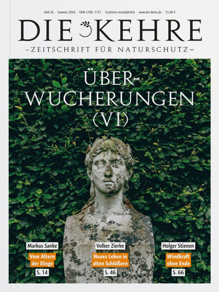 Die Kehre 26 - Überwucherungen VI