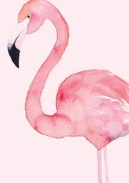 Notizbuch 'Tropical 05'