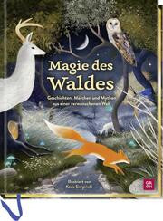Magie des Waldes
